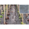 Ferramenta1.com | Telo pacciamatura pp h 1,57 m rotolo  10 m - RT 6