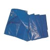 Ferramenta1.com | C telo occhiellato pe 2 x 3m 85gr blu - PZ 1