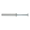 Ferramenta1.com | Fischer tassello n-s  8x100 vite a chiodo - PZ 50
