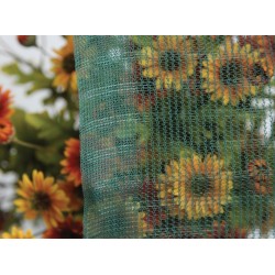 Ferramenta1.com | Rete p/olive antispina 80 g  8x10 m - PZ 4