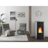 Ferramenta1.com | STUFA PELLET 20,3 KW RAFFAELLA IDRO H15 GRIGIO LU...