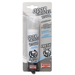 Ferramenta1.com | Arexons 2208 odor cancel fresh car - PZ 1