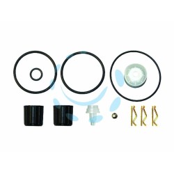 Ferramenta1.com | Kit guarnizioni di ricambio p/pistone in nyplen per pompe a zaino rosy - PZ 6