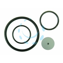 Ferramenta1.com | Set ricambi per pompe ares - BL 1