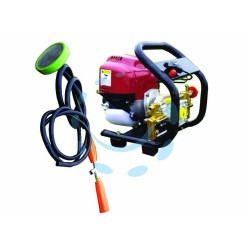 Ferramenta1.com | Pompa alta pressione fst-p768 motore 4t 1,6 hp con supporto per irror. - PZ 1