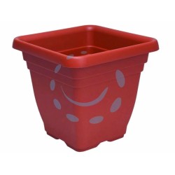 Ferramenta1.com | Vaso quadro laurus  - PZ 1