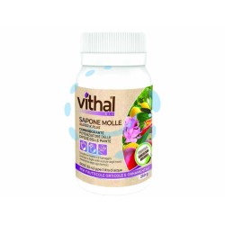 Ferramenta1.com | Sapone molle super k plus vithal bio - PZ 12