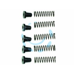 Ferramenta1.com | Molle + ammortizzatori per cogliuva r1071 - CF 14