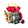 Ferramenta1.com | Elettropompa in bronzo bisenso da travaso rover 25 ce - PZ 1