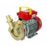 Ferramenta1.com | Elettropompa in bronzo bisenso da travaso rover 30 ce  - PZ 1