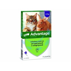 Ferramenta1.com | Antiparassitario "advantage" per gatti e conigli oltre kg.4 - PZ 10