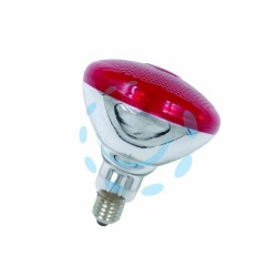 Ferramenta1.com | Lampada riflettore infrarossi  - PZ 10