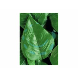 Ferramenta1.com | Foglie lauro di ricambio per siepe artificiale - PZ 1