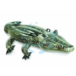 Ferramenta1.com | Alligatore vero gonfiabile cavalcabile  +3 anni - PZ 6