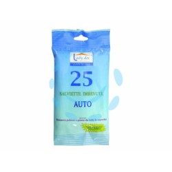 Ferramenta1.com | Salviette imbevute per auto - BL 48