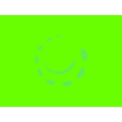 Ferramenta1.com | Plastica adesiva verde mela lucido (280-1995) - RT 6