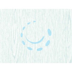 Ferramenta1.com | Plastica adesiva whitewood (280-1899) - RT 6