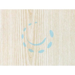 Ferramenta1.com | Plastica adesiva frassino bianco (280-2228) - RT 6