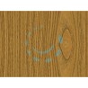 Ferramenta1.com | Plastica adesiva quercia chiaro (280-2163) - RT 6