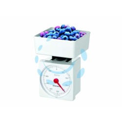 Ferramenta1.com | Bilancia da cucina kg.0,5 in plastica  - PZ 12