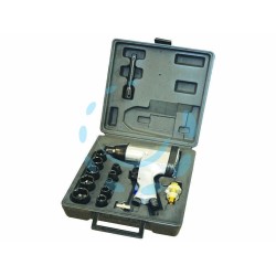 Ferramenta1.com | Avvitatore pneumatico ad aria in kit - PZ 6