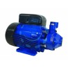 Ferramenta1.com | Elettropompa periferica aspirazione frontale "pm40/b" kw 0,75 - PZ 1