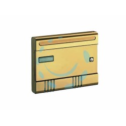 Ferramenta1.com | Cassetta postale portariviste serie esse per esterni - PZ 6