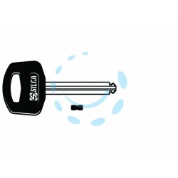 Ferramenta1.com | Chiavi per cilindri abus ab60p - PZ 1