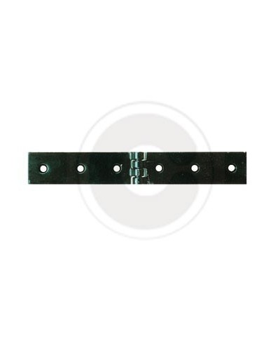 Ferramenta1.com | Cerniera a libretto acciaio p/casse 160 x 30 mm** - PZ 12