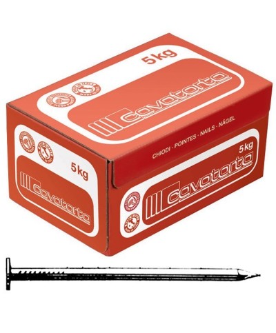 Ferramenta1.com | Chiodi testa piana 23x180 cavatorta - KG 5