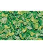 Ferramenta1.com | Plastica adesiva alkor 280.3170 foglie verdi 15 m - RT 1