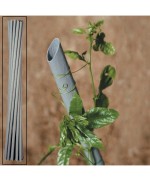 Ferramenta1.com | Tutore in pvc per piante vigna d 27xh210 cm - PZ 20