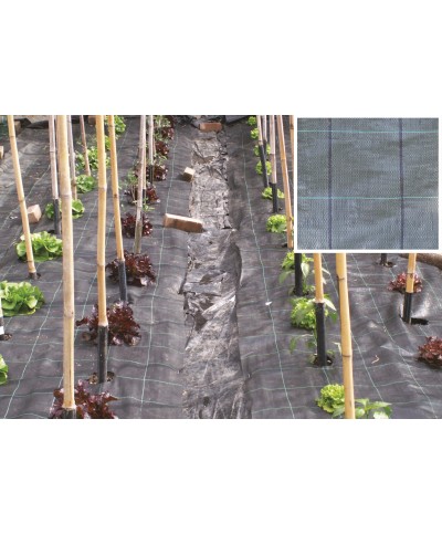 Ferramenta1.com | Telo pacciamatura pp h 1,05 m rotolo 100 m - RT 1