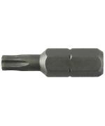 Ferramenta1.com | Lti inserto torx 25 mm t25 m 5,0* - PZ 10