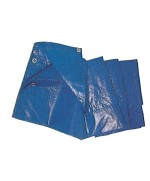 Ferramenta1.com | C telo occhiellato pe 6 x 8m 85gr blu - PZ 1