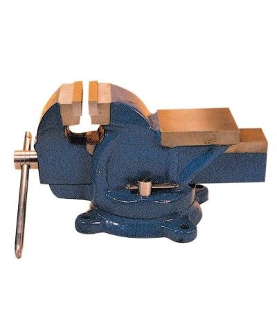 Ferramenta1.com | Morsa da banco girevole in ghisa 100 mm     80270 - PZ 1