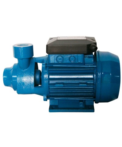 Ferramenta1.com | Elettropompa periferica 1,0 hp cm6/4n - PZ 1