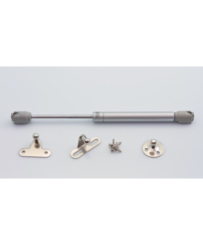 Ferramenta1.com | Pistone a gas per anta a ribalta 9/10 kg - PZ 10