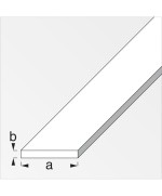 Ferramenta1.com | Profilo bianco h.200 cm piatto 30x2 mm - PZ 5