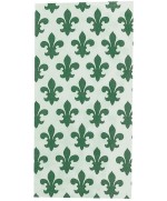 Ferramenta1.com | Carta giglio 56034.05 50x70 mm verde - PZ 50