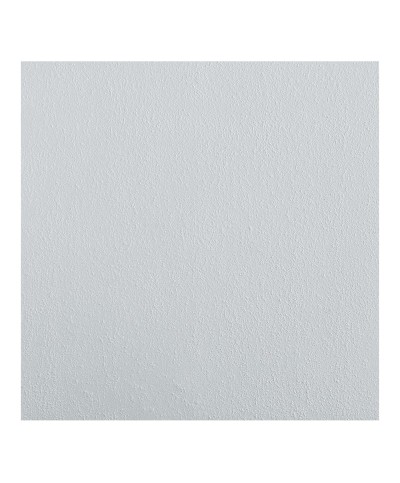 Ferramenta1.com | Pannello polistirolo soffitti tpdz rio 50x50 - MQ 18