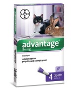 Ferramenta1.com | Bayer advantage spot on 80 gatti oltre 4 kg - PZ 1