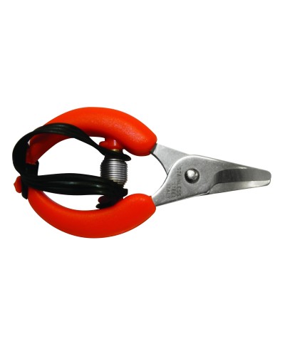 Ferramenta1.com | Forbici p/agrumi lame inox - PZ 6