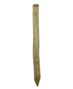 Ferramenta1.com | Palo punta in pino impregnato d  6xh300 cm - PZ 1