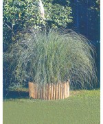 Ferramenta1.com | Bordura in pino impregnato rotolo 200xh30 cm - PZ 1
