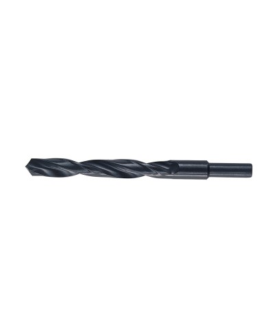Ferramenta1.com | Punte hss codolo 13 mm d 15,0 mm - PZ 3