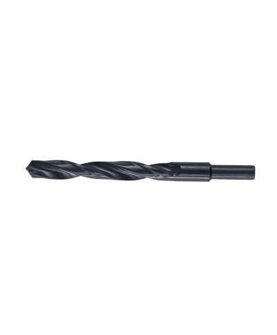 Ferramenta1.com | Punte hss codolo 13 mm d 15,5 mm - PZ 3