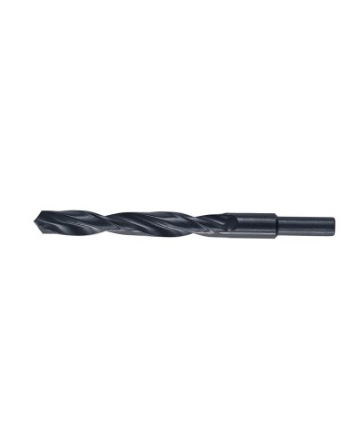 Ferramenta1.com | Punte hss codolo 13 mm d 17,0 mm - PZ 1