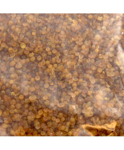 Ferramenta1.com | Colla a perline p/restauro 25 kg - SA 1