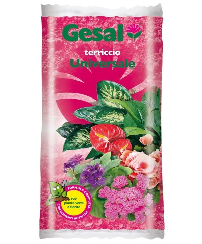 Ferramenta1.com | Gesal terriccio universale 20 l - PZ 1